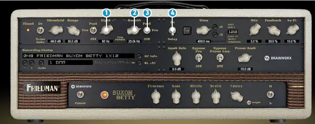 FRIEDMAN Buxom Betty 50-Watt Guitar Tube Amplifier FIG 6