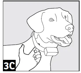 SportDOG Brand SportHunter 12 Mile Remote Trainer (9)