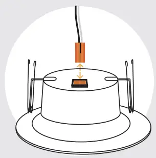 Step-by-step Instalation Fig