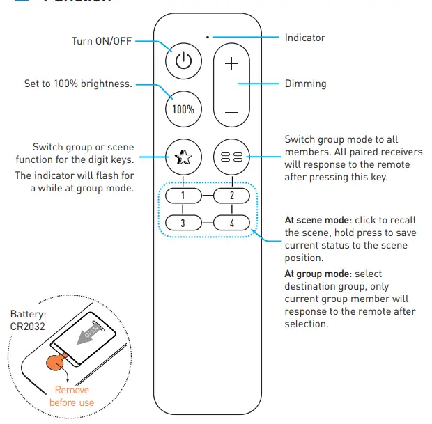 Rayrun-BR03-1G-LED-Remote-Controller-FIG-1