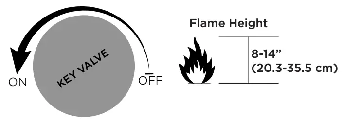 Lighting the Fireplace