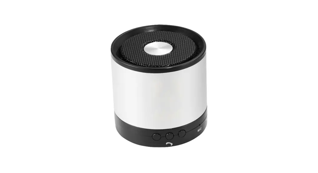 Sim2 Ts522d-s1 Bluetooth Speaker Instruction Manual