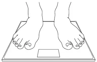 ETEKCITY EB9388H Digital Body Weight Scale-2