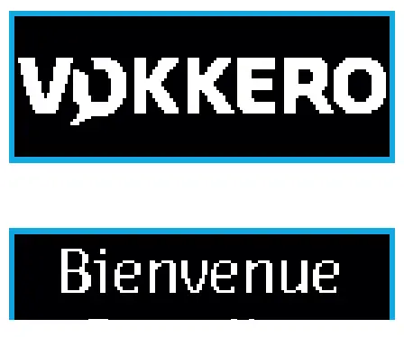 VOKKERO VO8161C Wireless Interface-Fig4