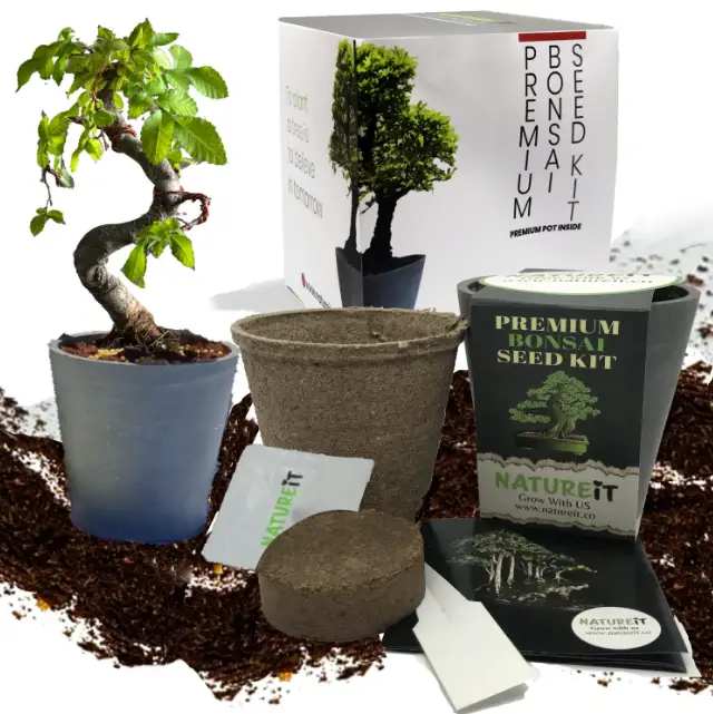 NATUREiT-Premium-Bonsai-Tree-Seed-Kit-pro