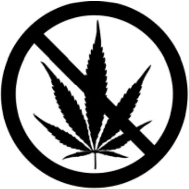 HOYT BOO'GER - Safety Icon 5