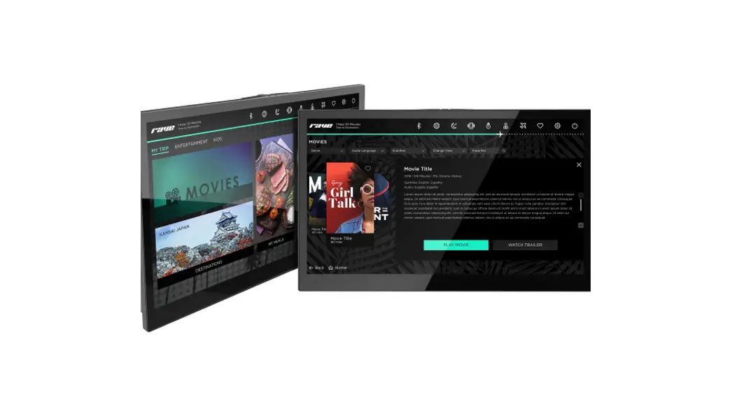Safran Passenger Innovations Rave Access Point User Manual