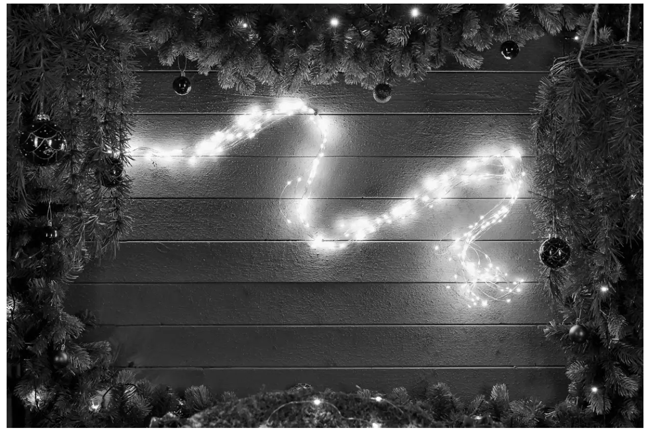 EKVIP 022895 String Lights