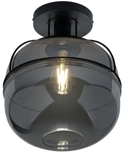 TRIO 615190132 LORENA Ceiling Luminaire