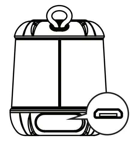 CHARGING THE SPEAKER