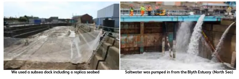 Tiger-Lifting-SS20-Tiger-Corrosion-Resistant-Chain-Block-1