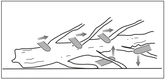 RYOBI RY36CSX35A 0 Cordless Chain Saw - Figure 6
