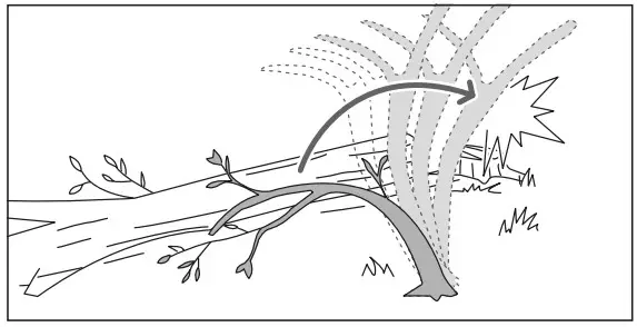 RYOBI RY36CSX35A 0 Cordless Chain Saw - Figure 7