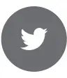 Twitter Icon