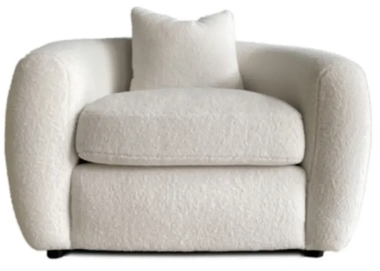 WOODSTOCK-509873-Coaster-Living-Room-Chair-fig-1