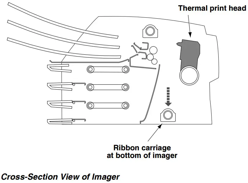 CODONICS Horizon Multimedia Dry Imager - FIGURTE 19