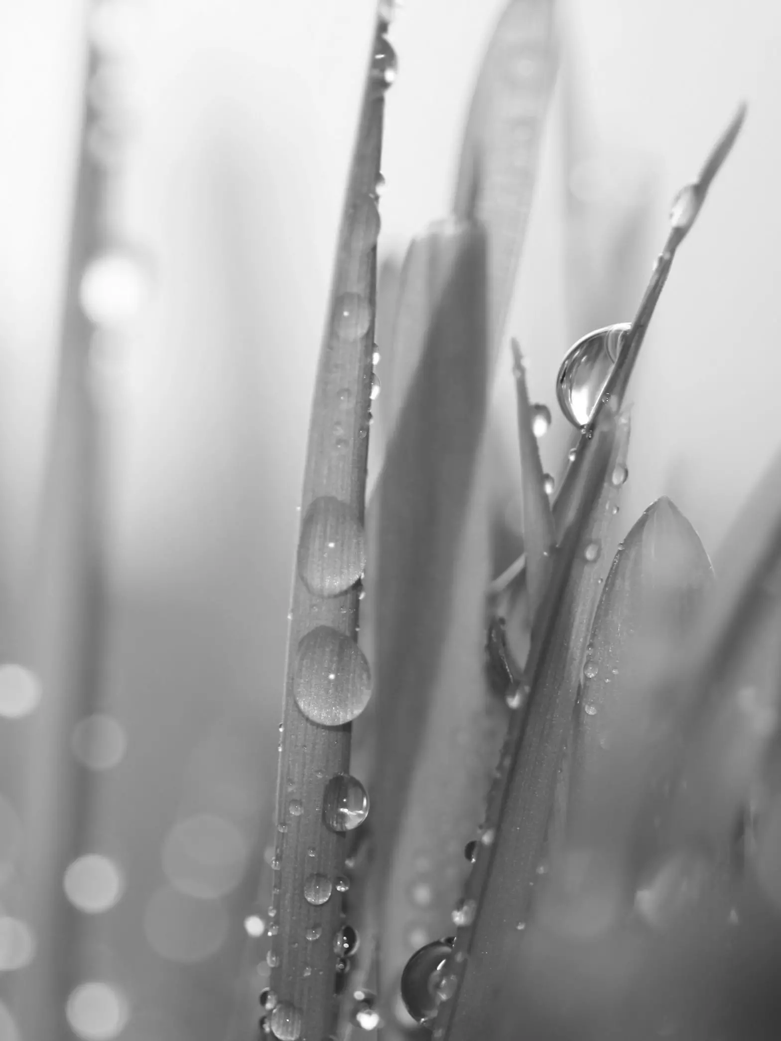 SAMSUNG AX40R3030WM Air Purifier - fig