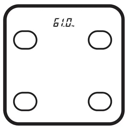 Contact Health 802B4 Body Composition Scale- Weigh on