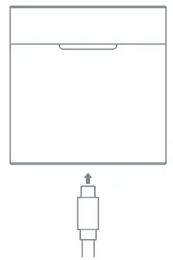 HAYLOU MoriPods True Wireless Earbuds - How to Charge 2