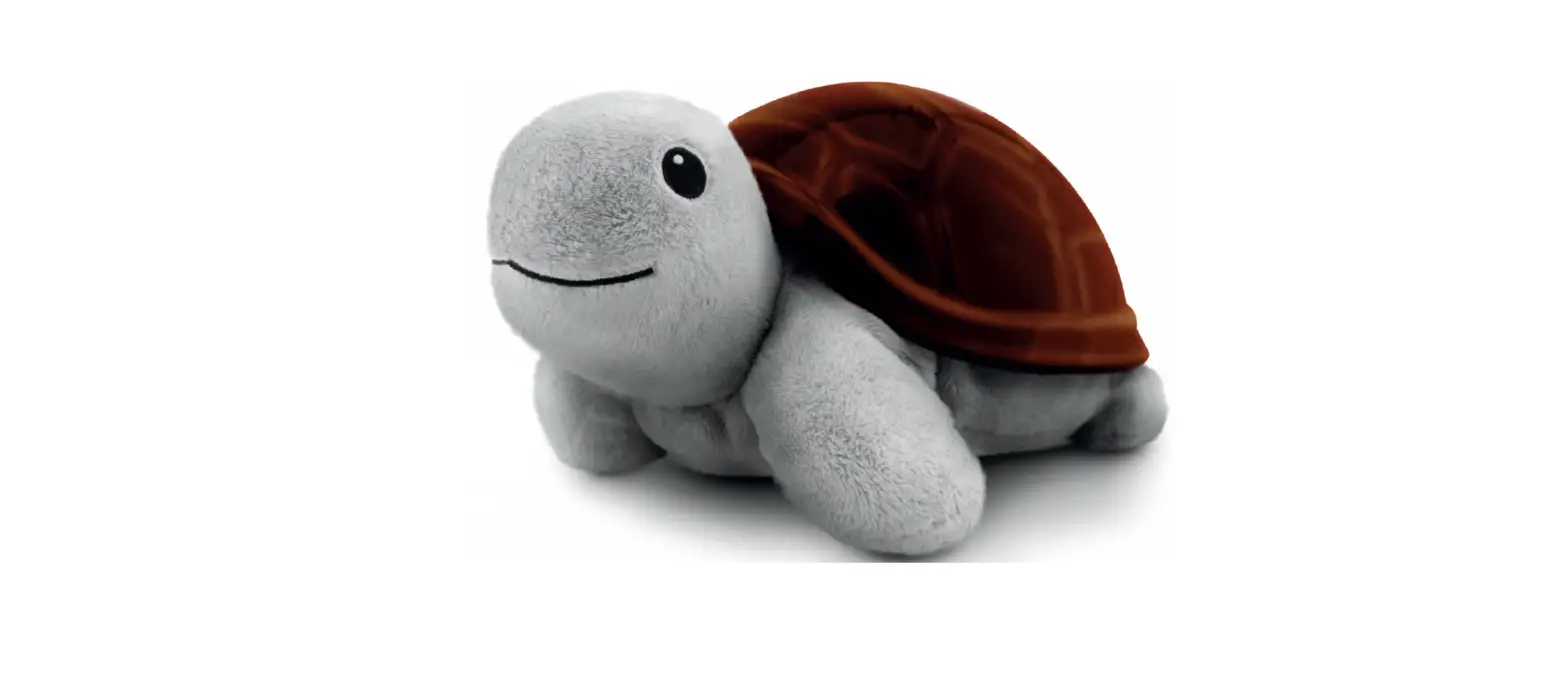 Zazu 07-000108 Sunset Projector With 3 Steps Sleep Program User Manual