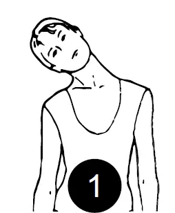 SPORTSTECH-DFT100-Workout-Treadmill-Machine-15