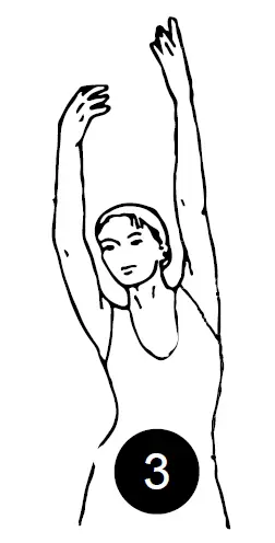 SPORTSTECH-DFT100-Workout-Treadmill-Machine-17