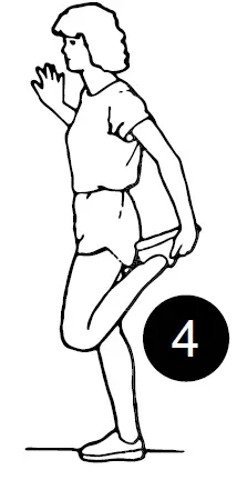 SPORTSTECH-DFT100-Workout-Treadmill-Machine-18