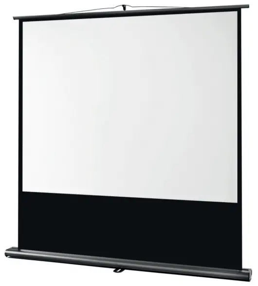 celexon-1091780-Screen-Ultra-Mobile-Professional-fig-1