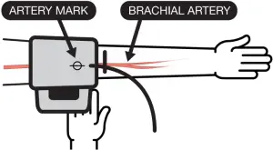 Preparation Inductions