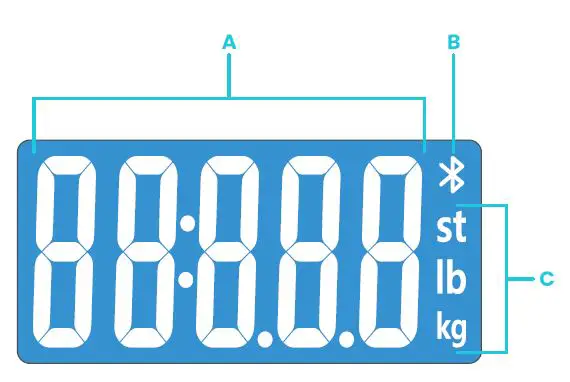 Etekcity ESB-591 Smart Body Weight Scale 02