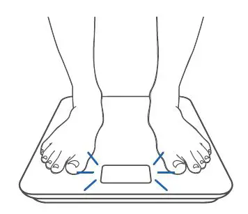 Etekcity ESB-591 Smart Body Weight Scale 06