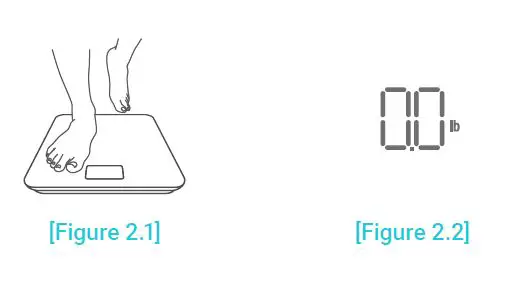Etekcity ESB-591 Smart Body Weight Scale 07