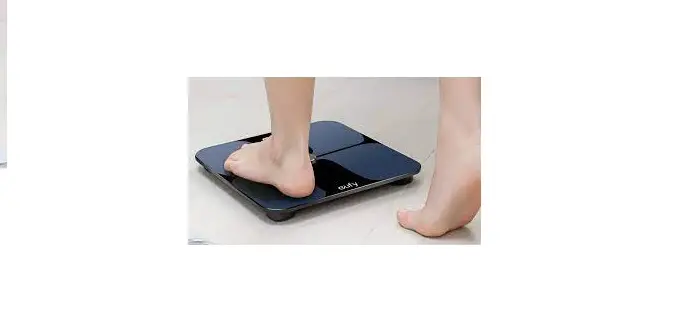 Etekcity Esb-591 Smart Body Weight Scale User Manual