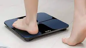 Smart Body Weight Scale product