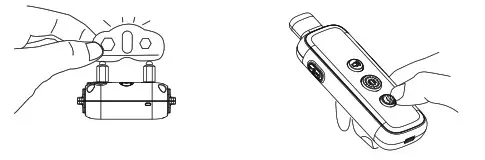 Press the Shock Button and the Test Lamp