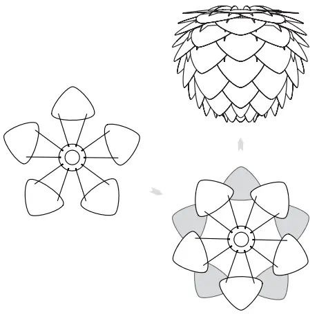 Assembly Instruction