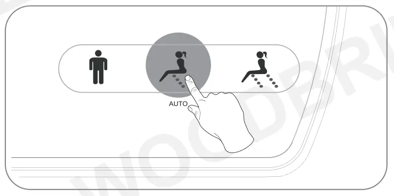 WOODBRIGE Remote Control stops automatic