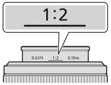 Nikon-NIZ5028-NIKKOR-Z-MC-50mm-Macro-Lens-Fig-07