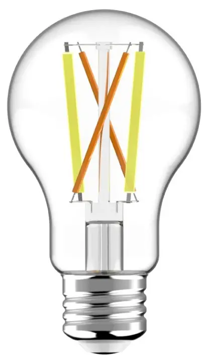 Lightcloud-LCBST19-6-E26-9TW-F-C-SS-Filament-LED-A19-Lamp-PRODUCT