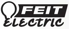 FEIT logo
