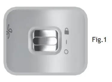 gama professional IQ Perfetto Hair Dryer - Fig