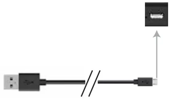 Dgl Group Live Love Music LED Wireless Speaker - charger