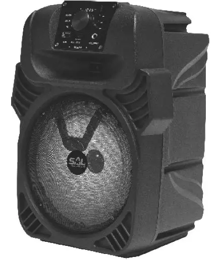 somogyi-PAR20BT-Electronic-Party-Speaker-