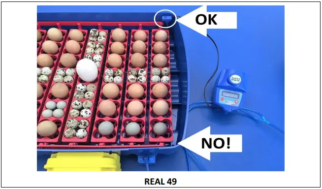 Borotto-38530200100-Sirio-Automatic-Humidifier-FIG-7