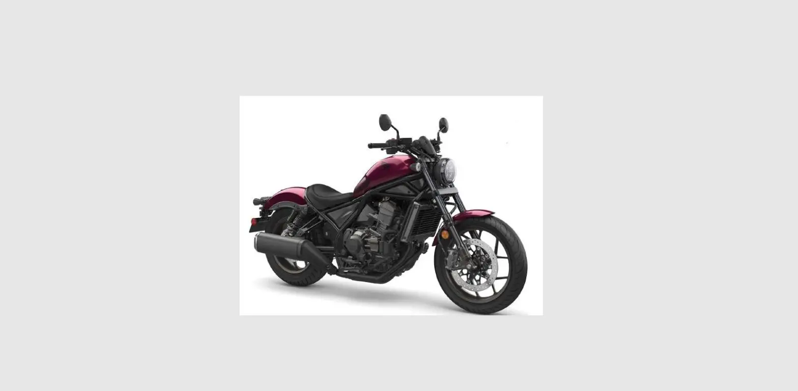 Clearwater Lights D21rebel1100 Honda Rebel 1100 (2021+) User Manual