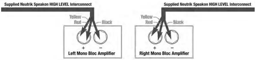 REL Acoustics T9x Subwoofer Wireless Port (4)