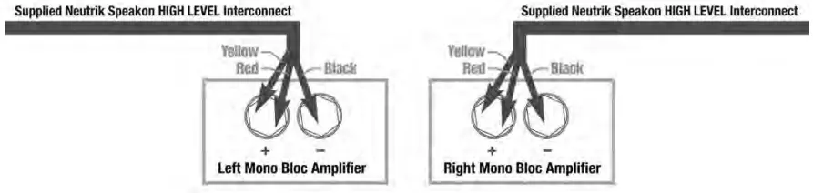 REL Acoustics T9x Subwoofer Wireless Port (9)
