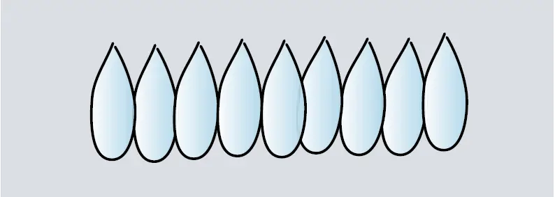 BOSCH-NGMP077UC-Gas-Cooktop-21