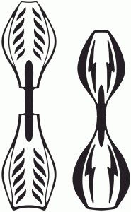 Razor RipStik y RipStik Ripster