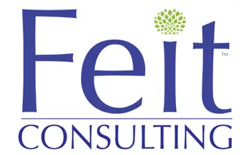 FEIT - logo